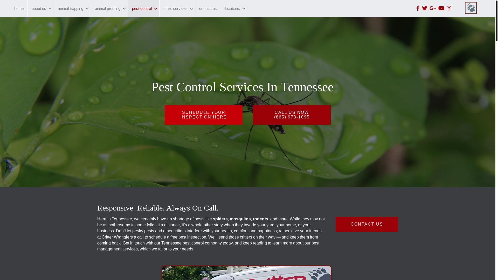 website screenshot of https://callcritterwranglers.com/