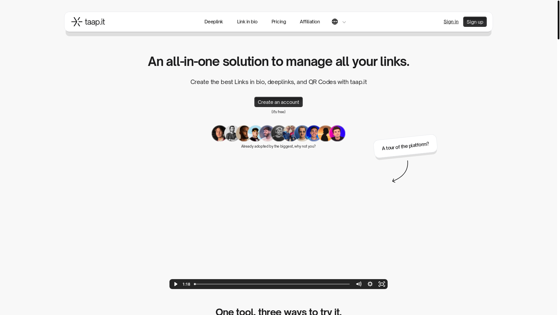 website screenshot of https://www.taap.it/