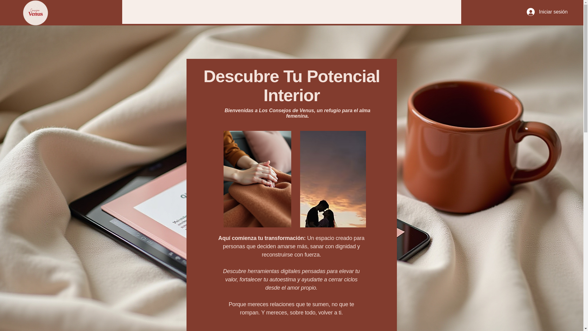 website screenshot of https://consejodevenus.com/