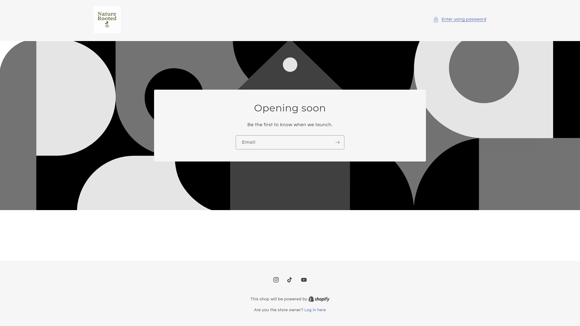 website screenshot of https://naturerooted.store/