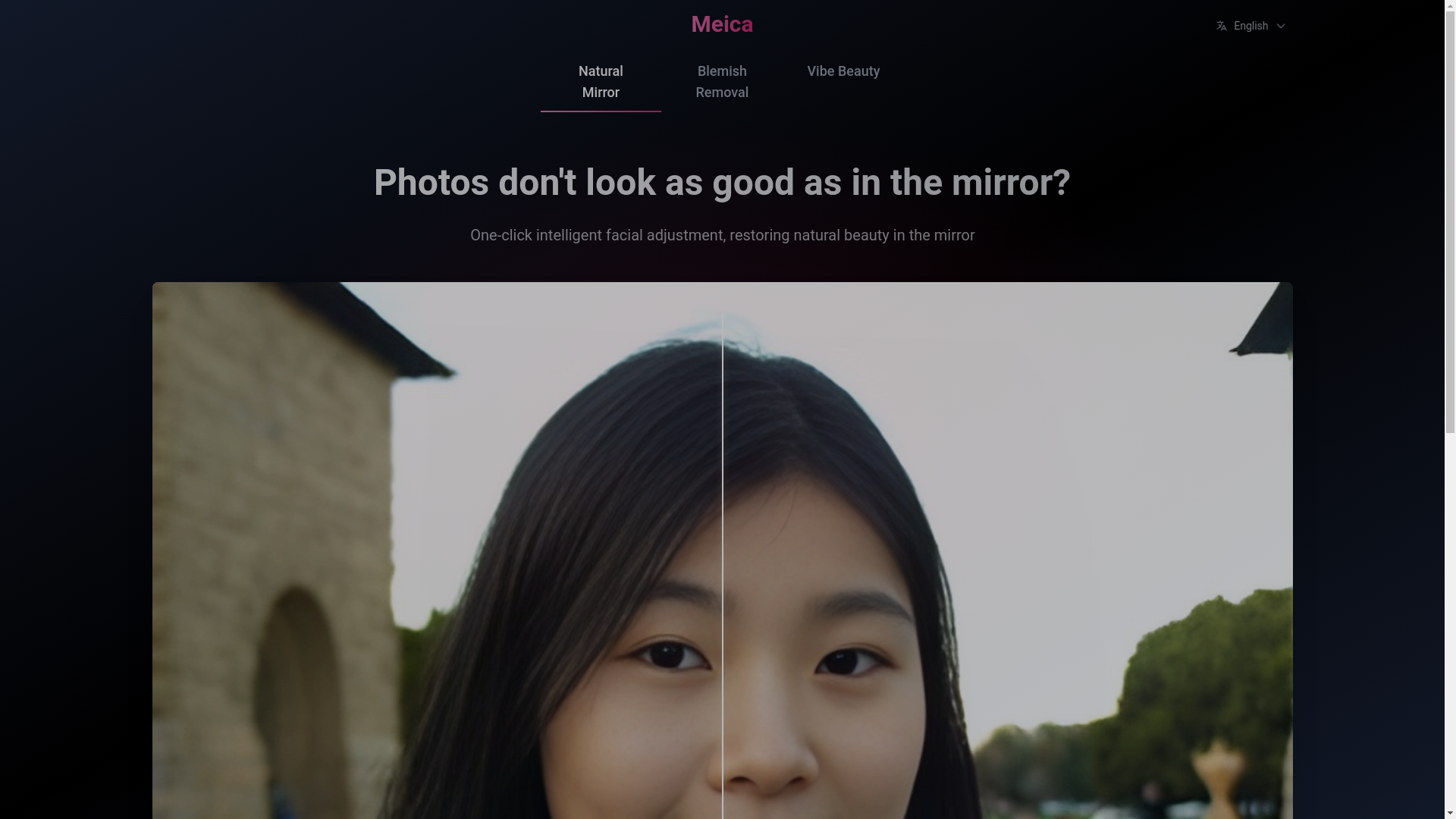 website screenshot of https://meica-web.pages.dev/