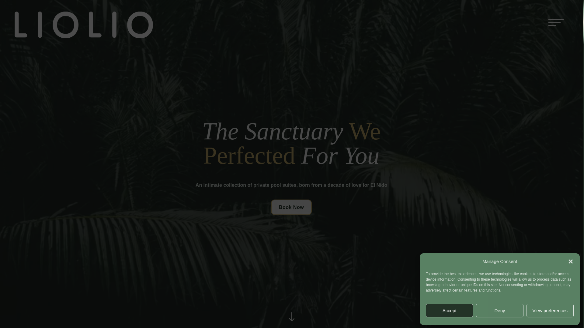 website screenshot of https://lioliosuites.com/