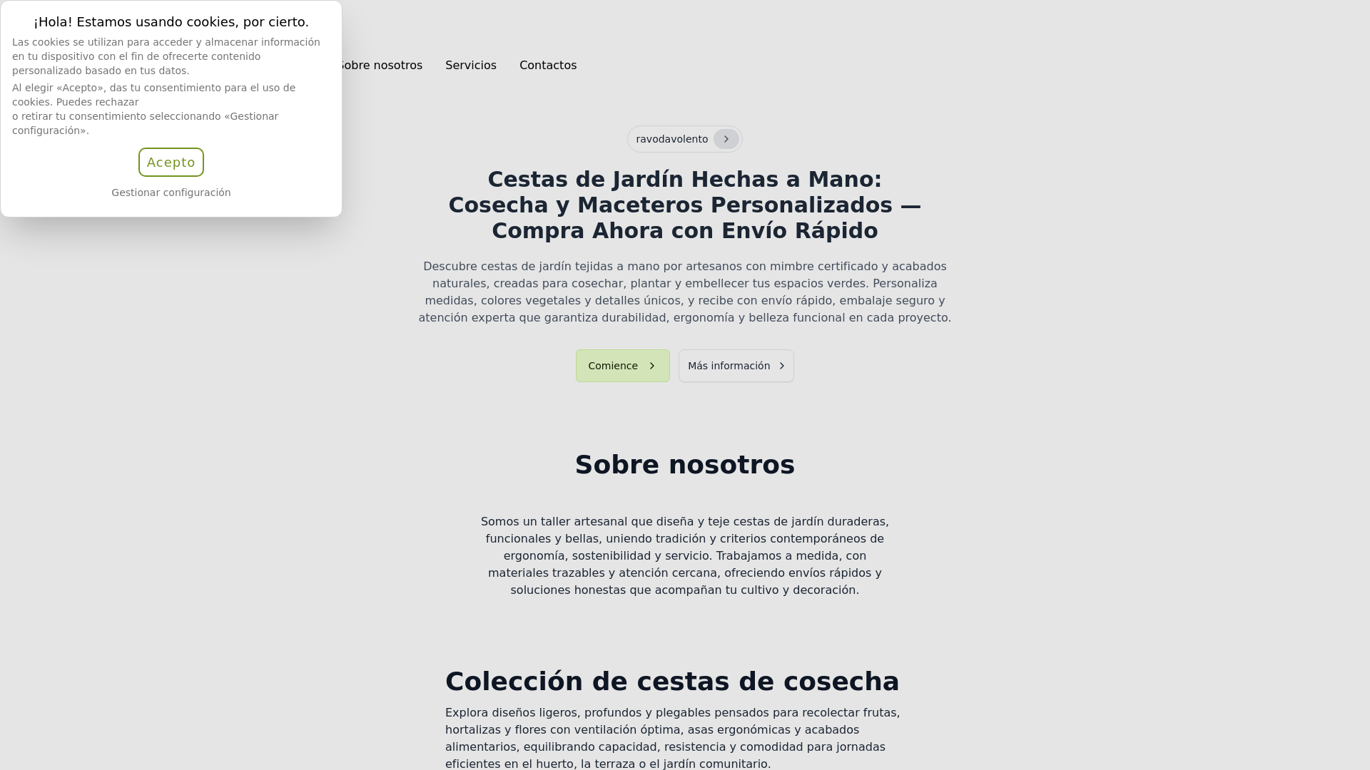 website screenshot of https://ravodavolento.life/