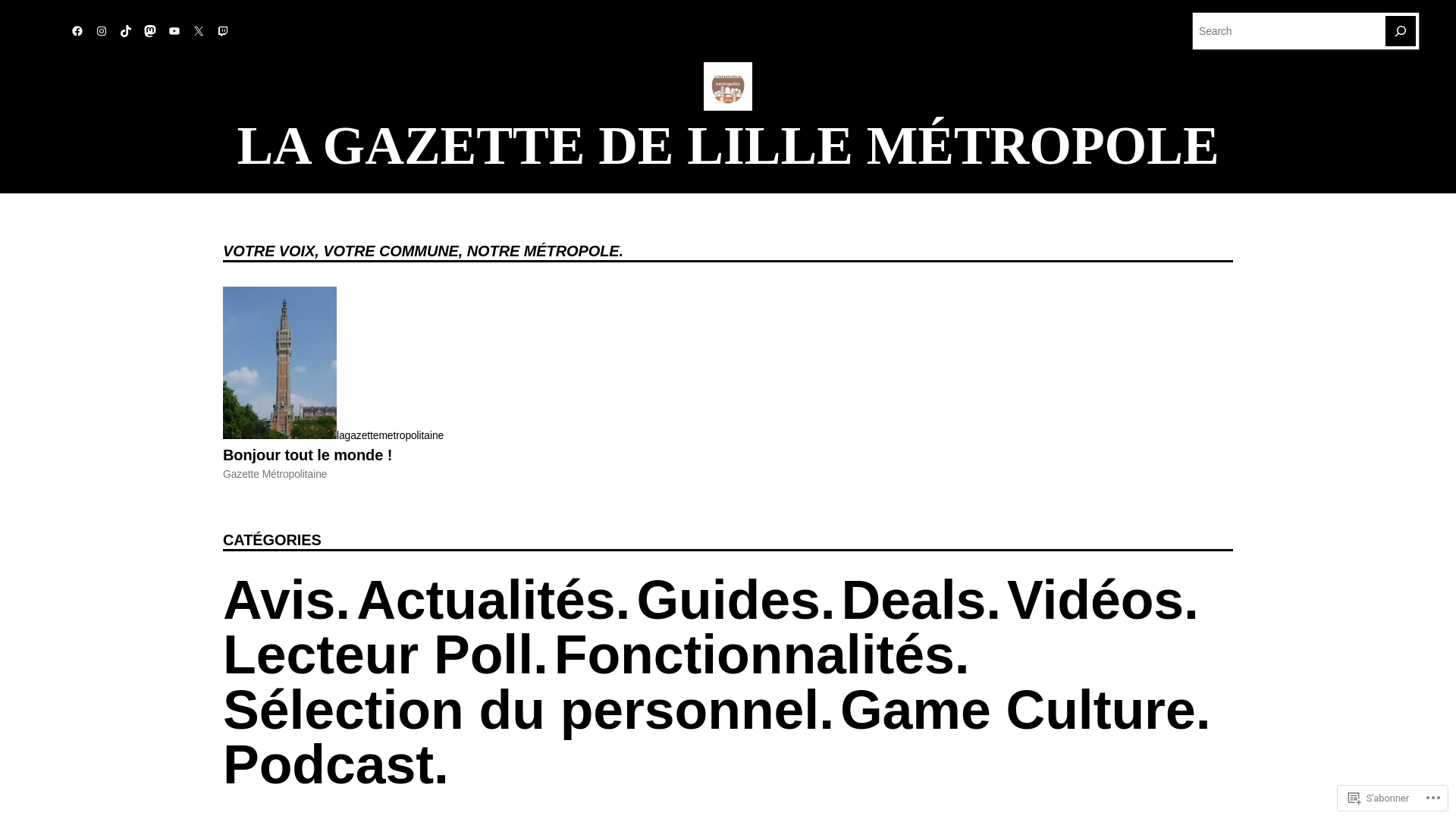 website screenshot of https://lagazettemetropolitaine.fr