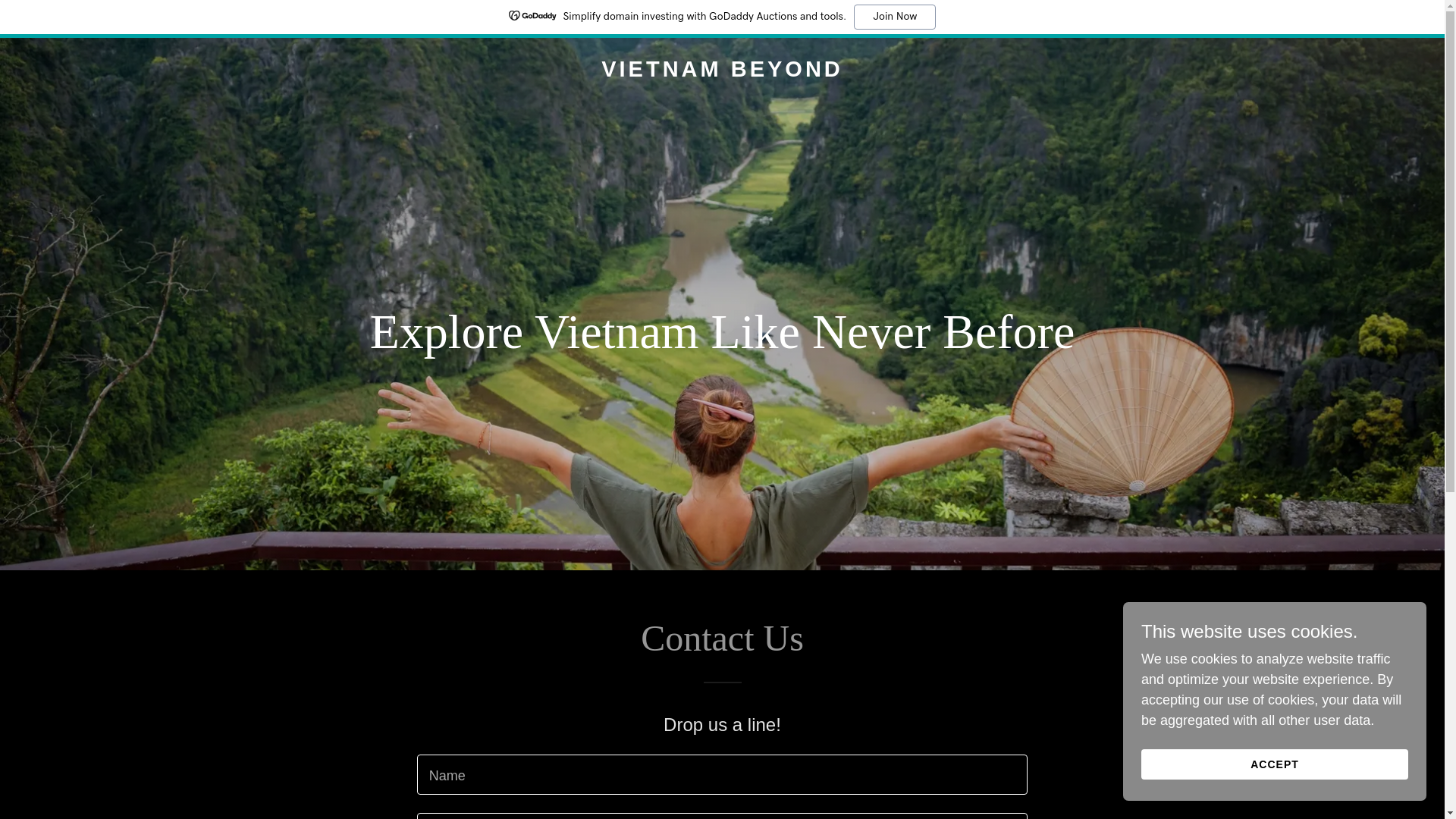 website screenshot of https://vietnambeyond.com/