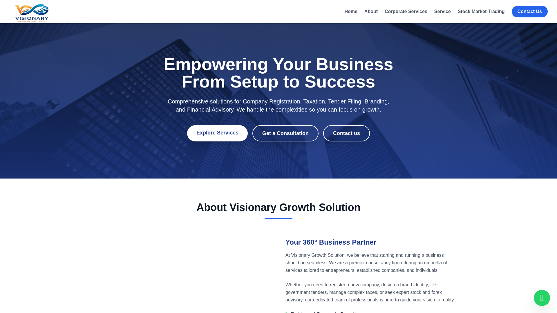website screenshot of https://visionarygrowthsolution.com/