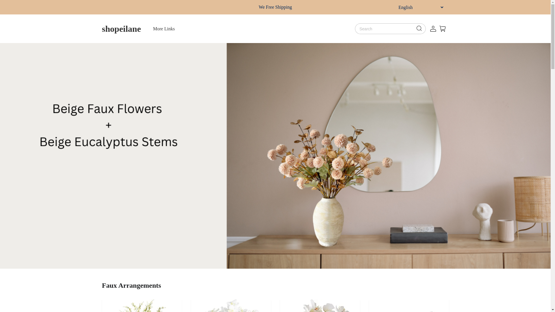website screenshot of https://shopeilane.com/