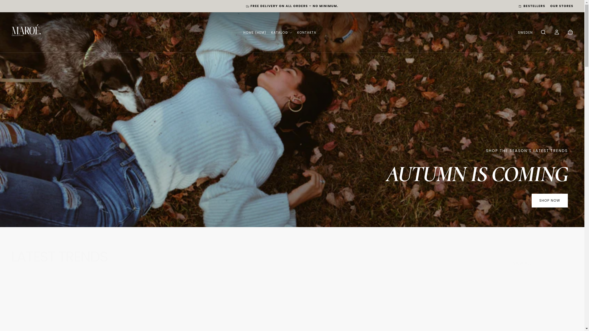 website screenshot of https://maroecollective.com/