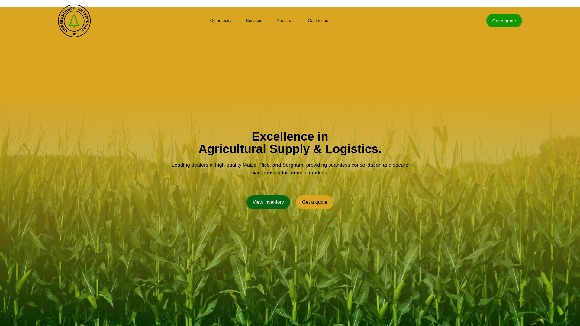 website screenshot of https://lifwebantondoenterprise.com/