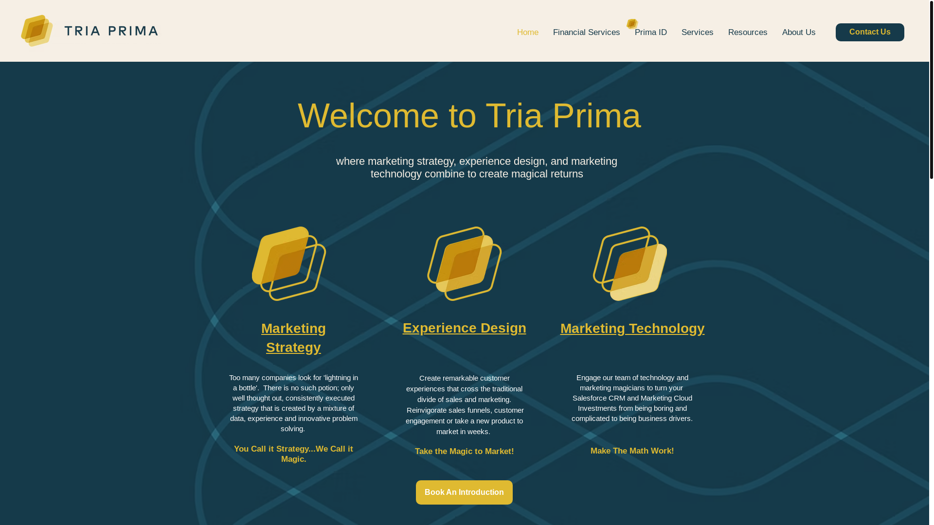 website screenshot of https://triaprima.ai/