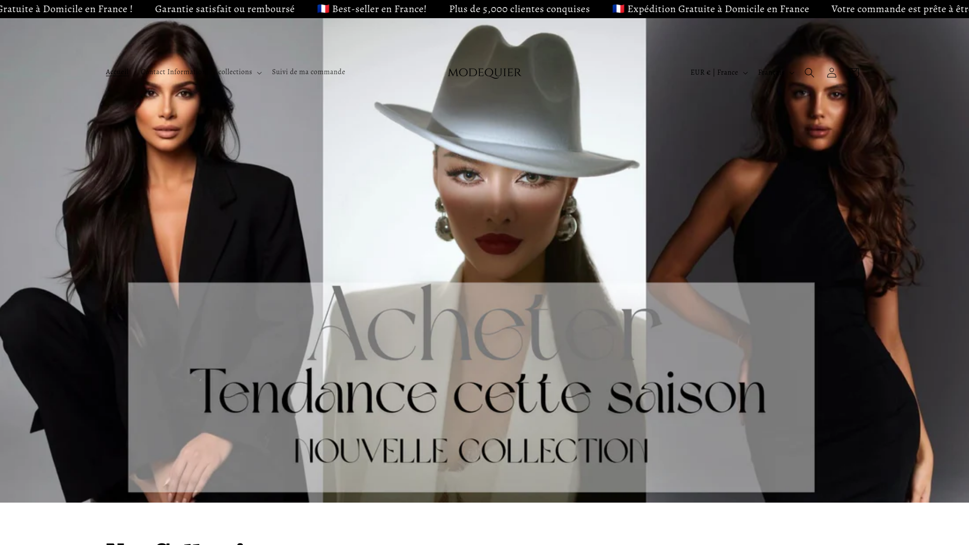 website screenshot of https://chiclect.com