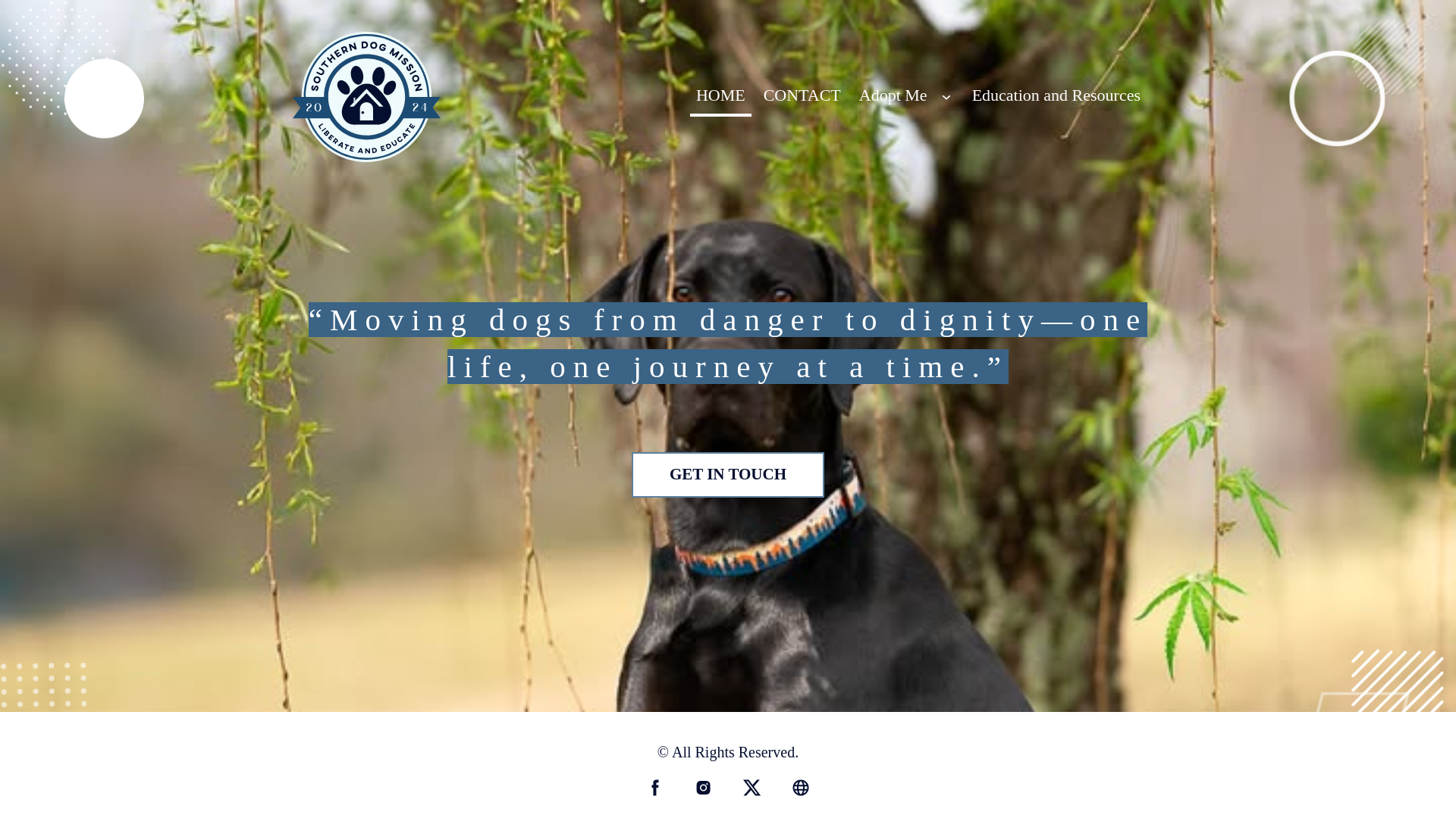 website screenshot of https://southerndogmission.com/