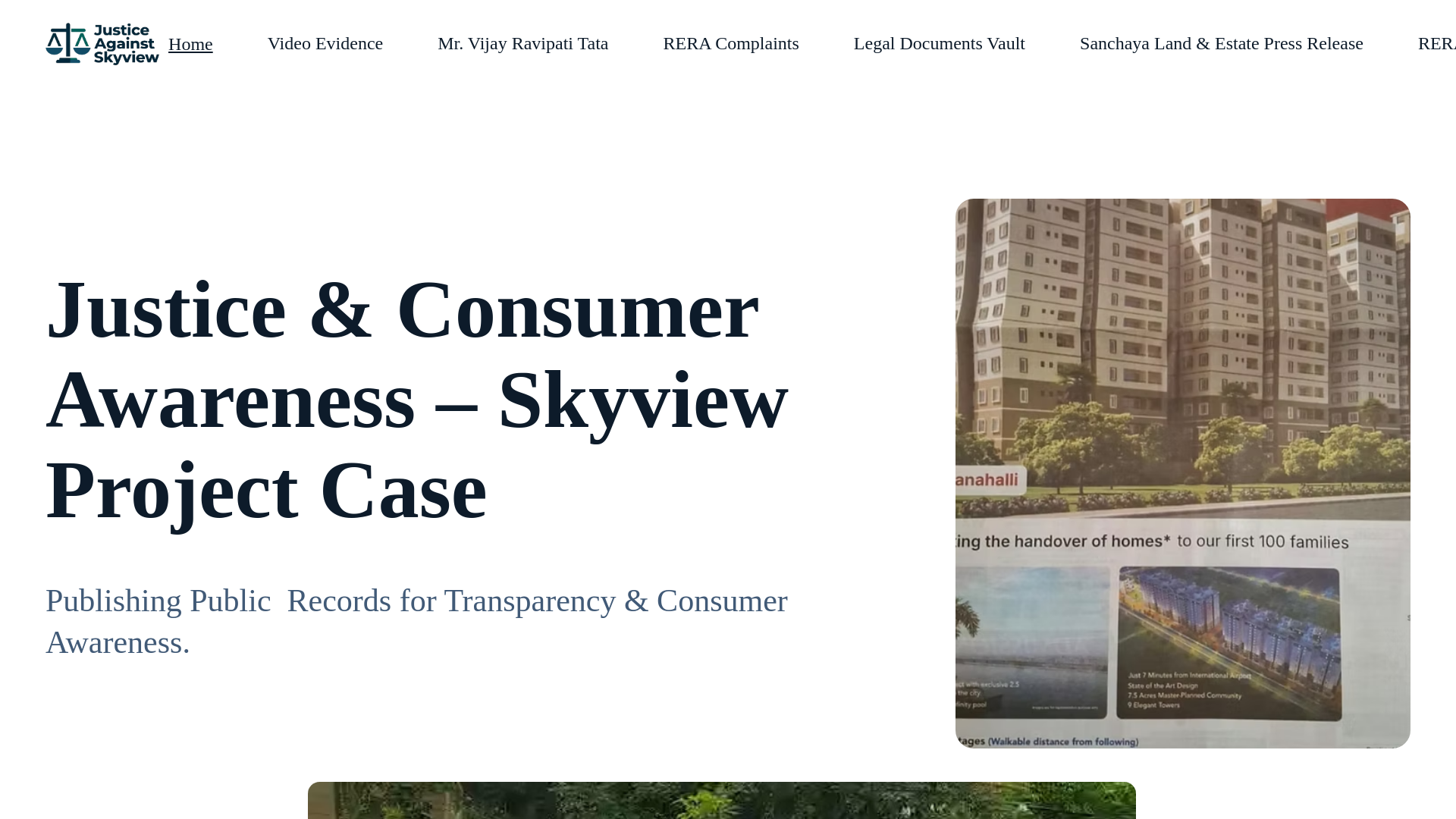 website screenshot of https://skyviewdispute.com/