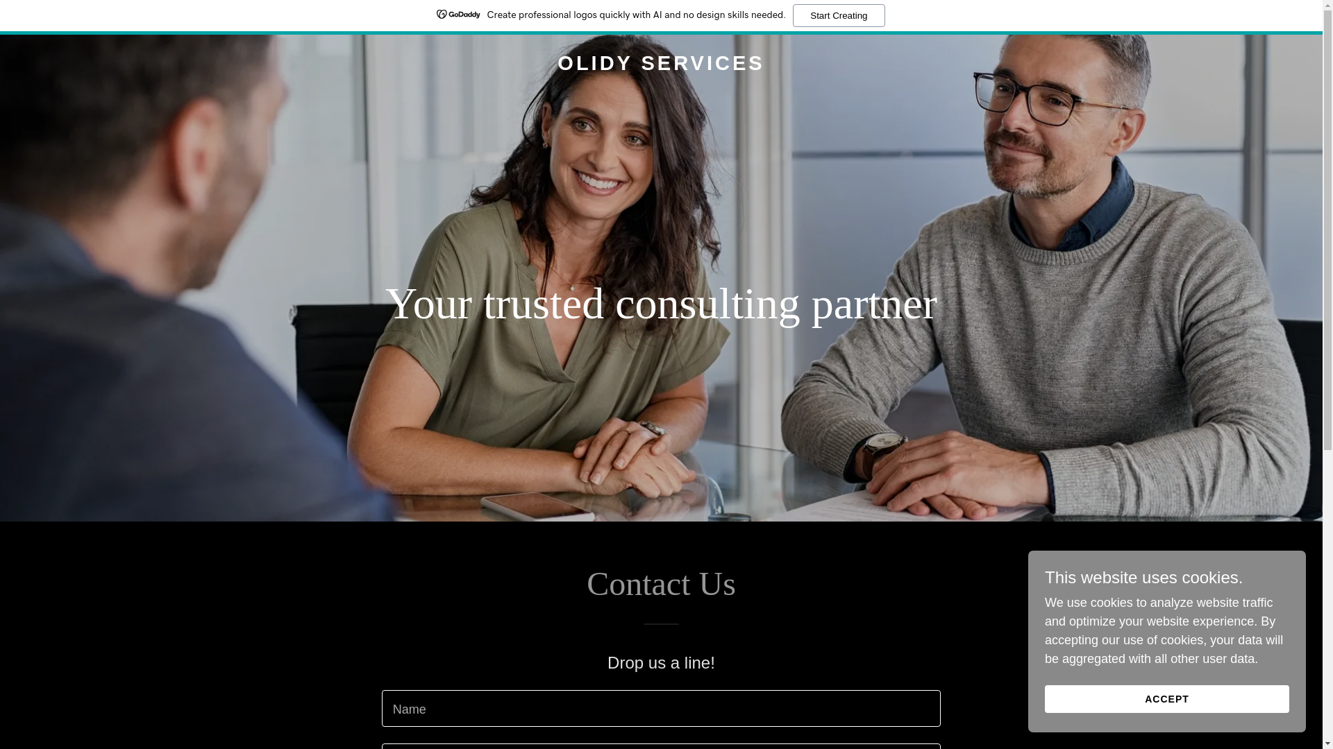 website screenshot of https://olidyservices.com/