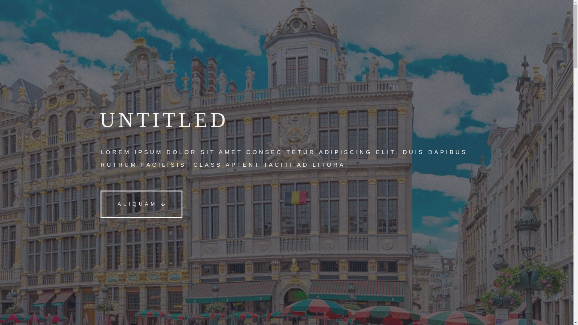 website screenshot of https://igono-inspect.be/