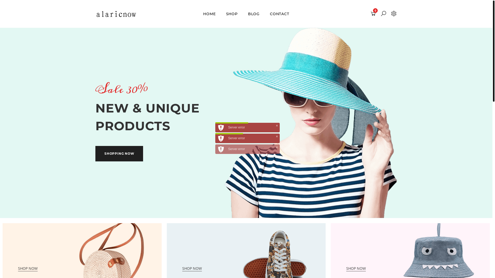 website screenshot of https://alaricnow.pages.dev/