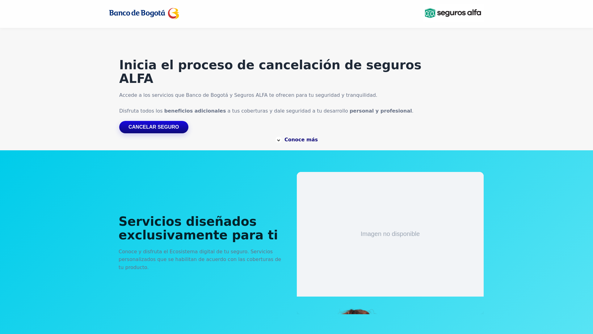 website screenshot of https://alfas.info/