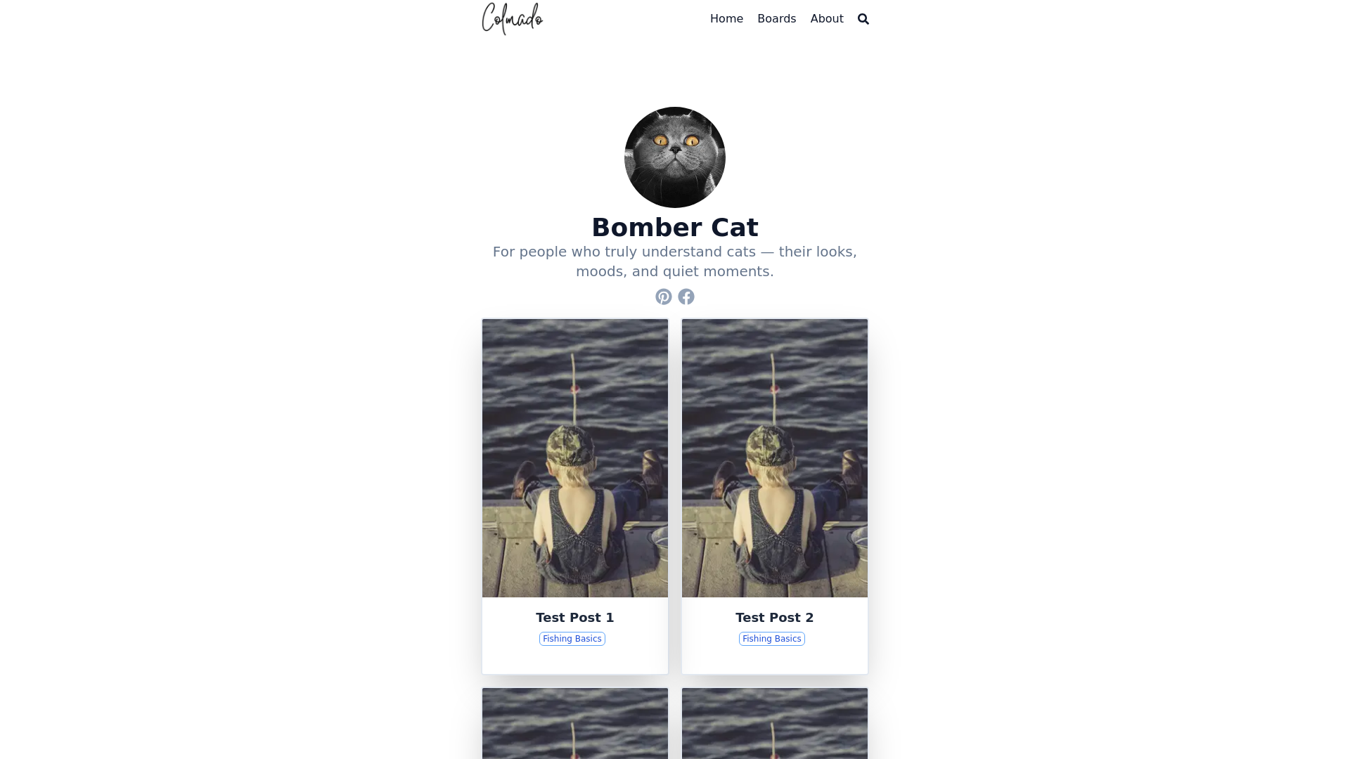 website screenshot of https://cats-colma-do.pages.dev/