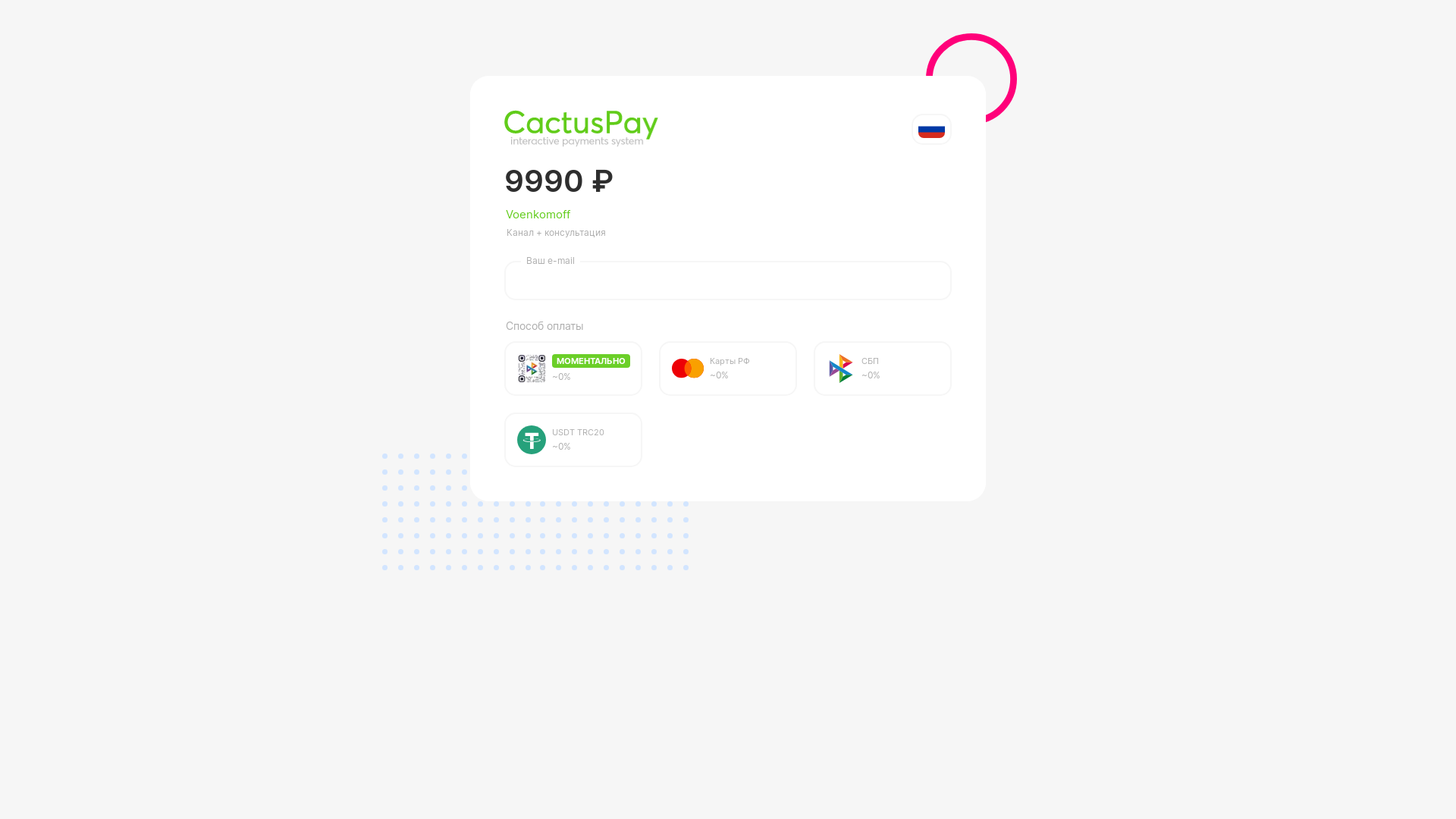 website screenshot of https://pay.cactuspay.pro/3399783