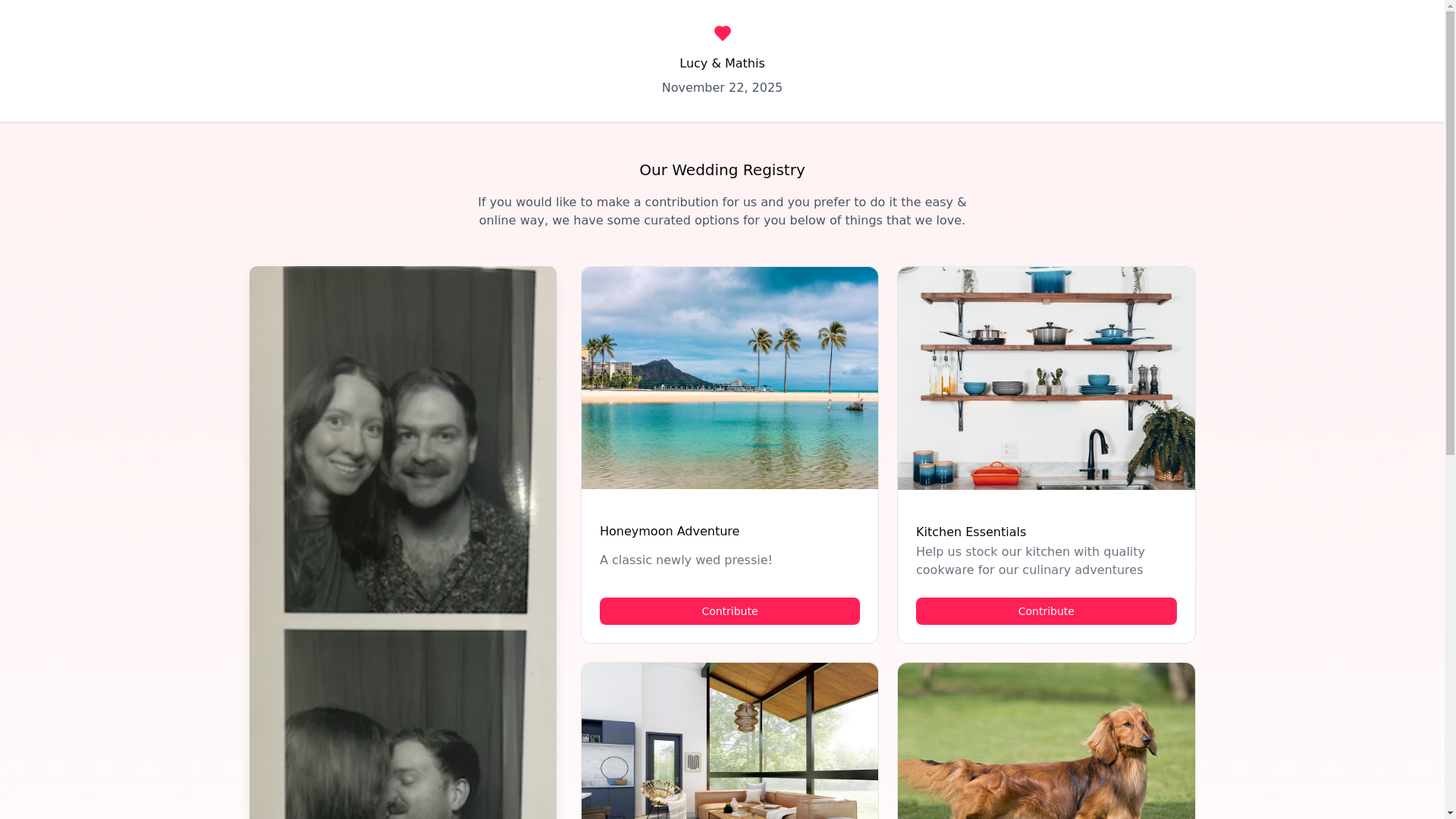 website screenshot of https://lucyandmathis.website/