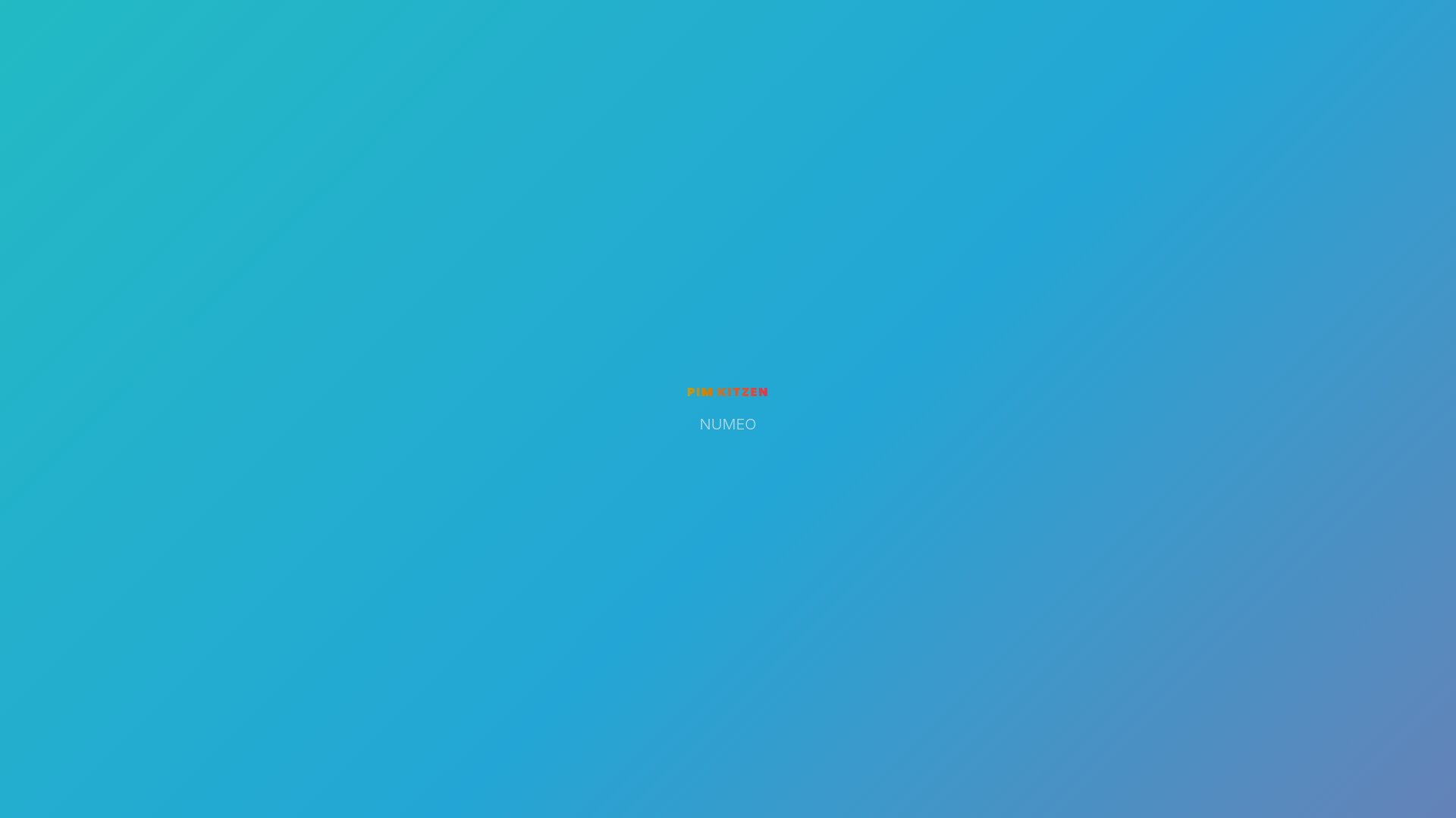 website screenshot of https://kitzen.com