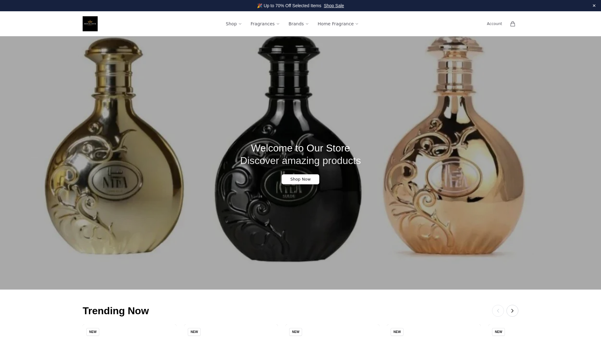 website screenshot of https://royaloudleicesteronline.shop/