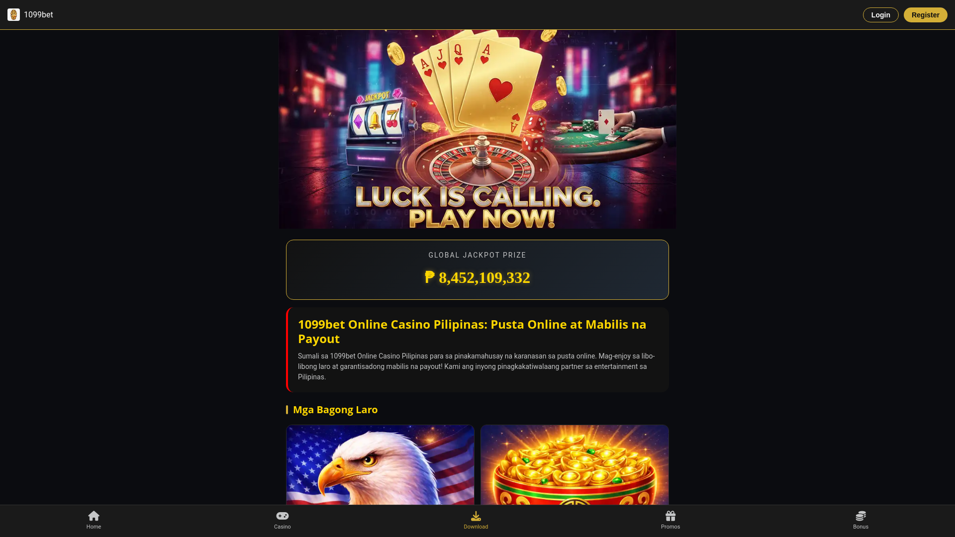 website screenshot of https://ppp-login.org/