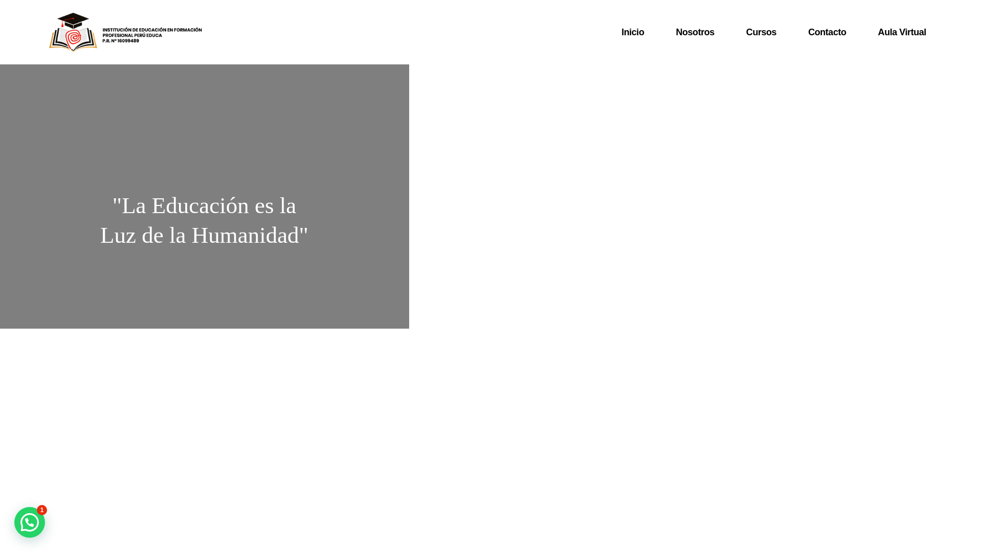 website screenshot of https://perueducaiefp.com/