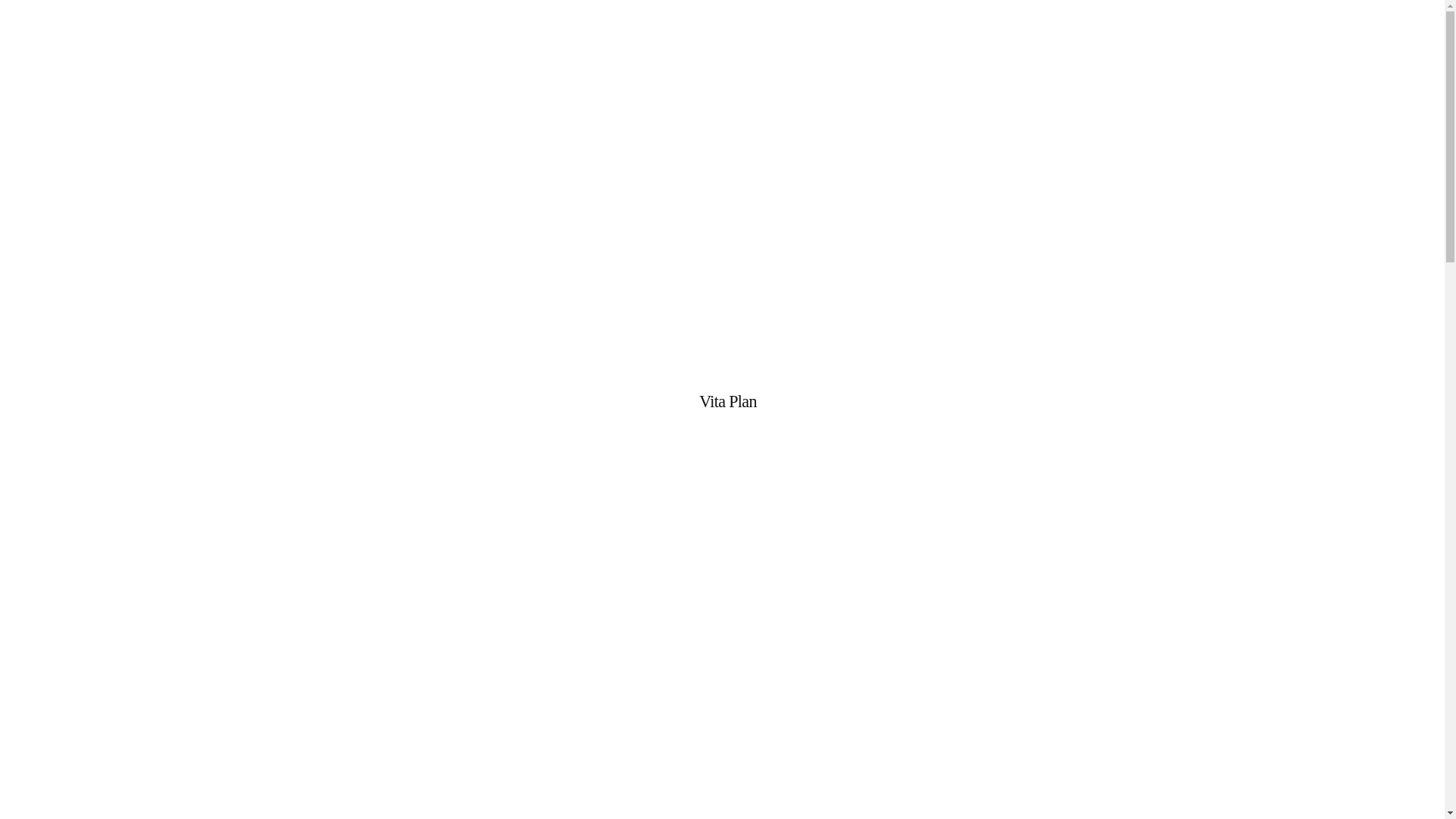 website screenshot of https://vitaplaanhub.info/