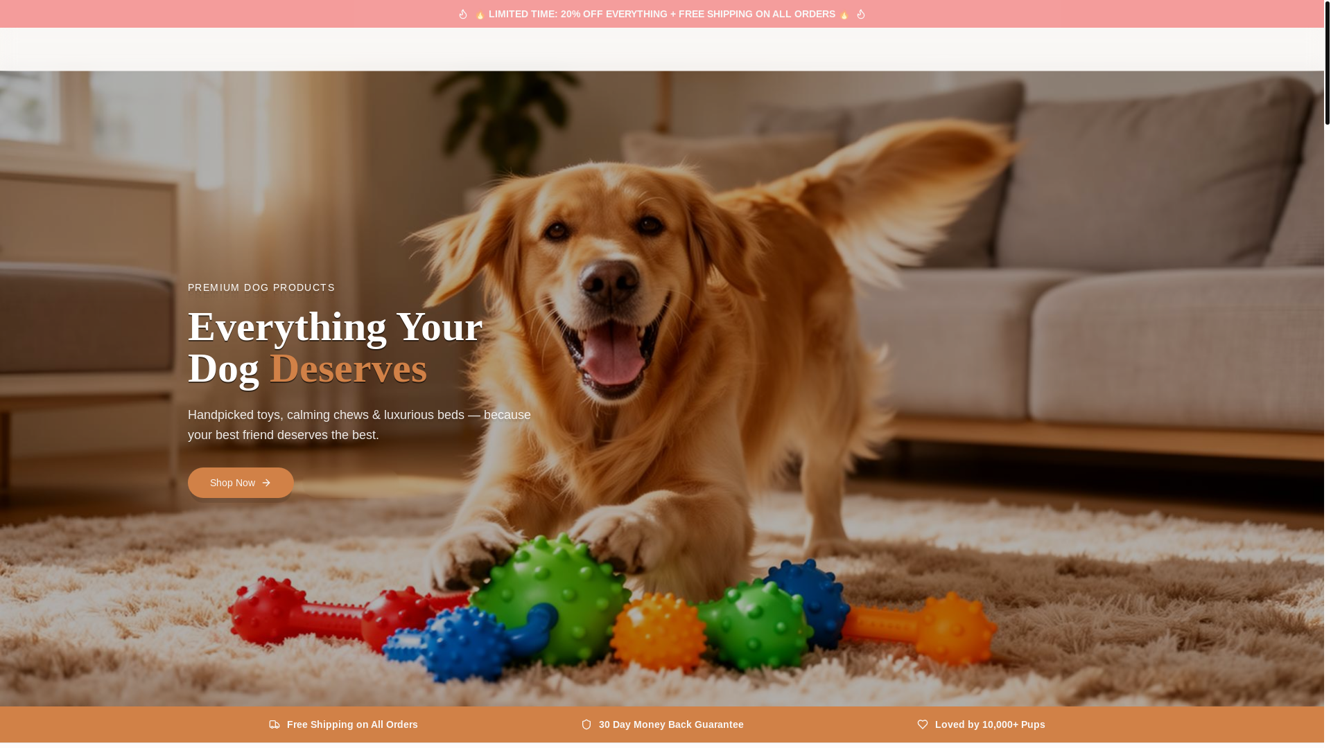website screenshot of https://storepawvera.com/