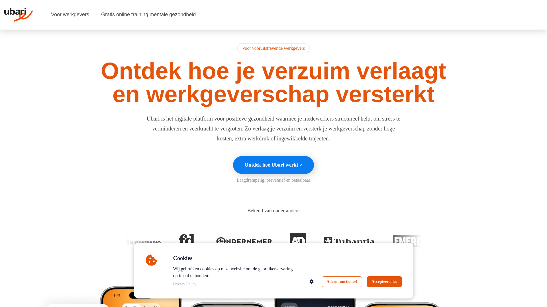 website screenshot of https://investereninwelzijnworks.com/