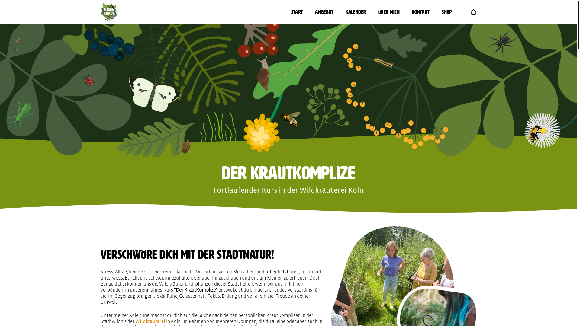 website screenshot of https://heupferdchenabzeichen.de/
