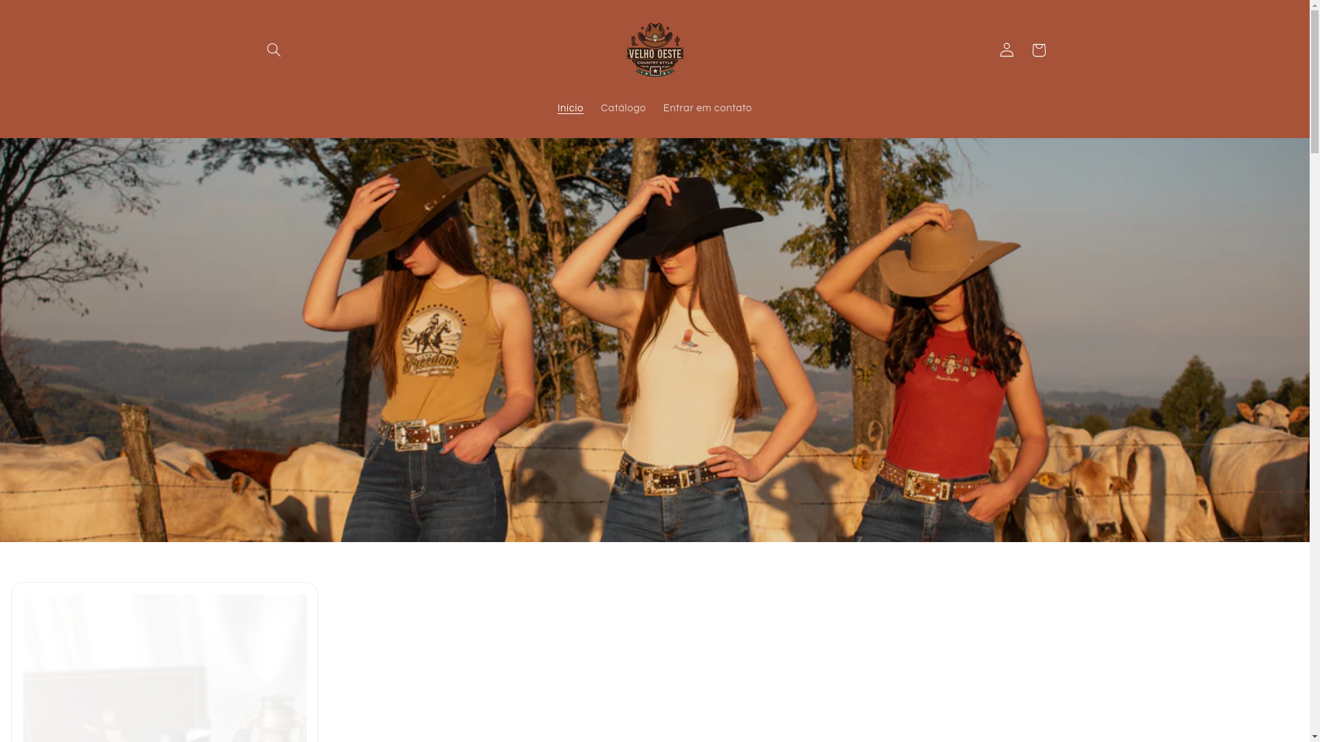 website screenshot of https://velhooestecountrystyle.com.br/