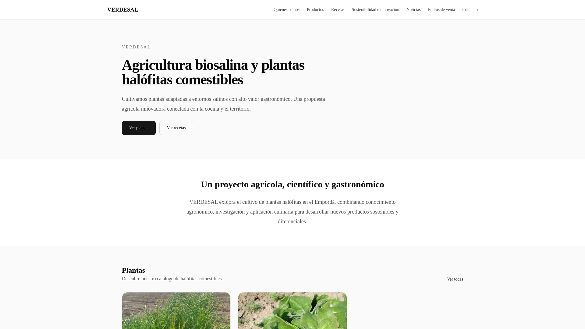 website screenshot of https://verdesal.es/