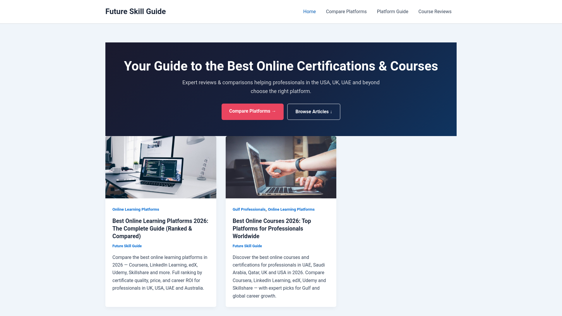 website screenshot of https://futureskillguide.com