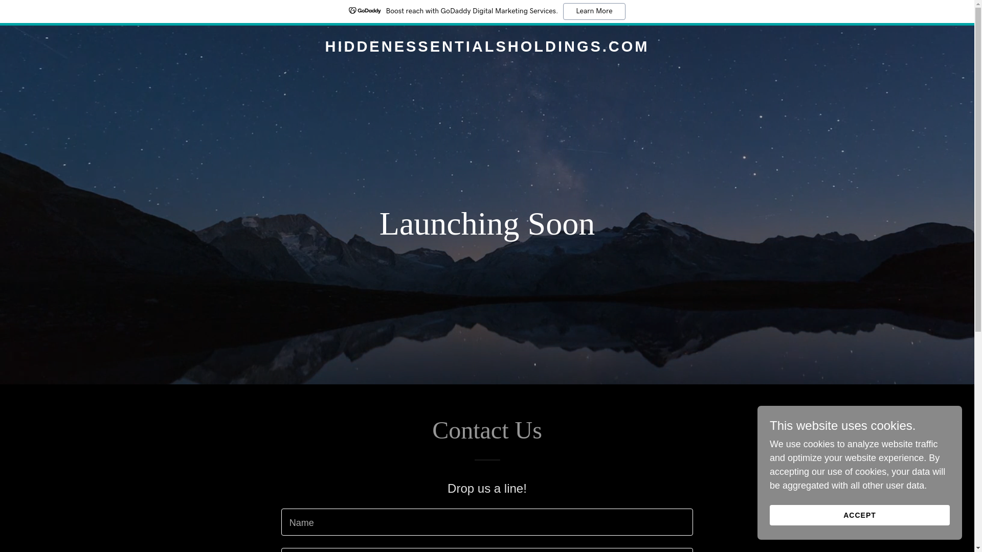 website screenshot of https://hiddenessentialsholdings.com/