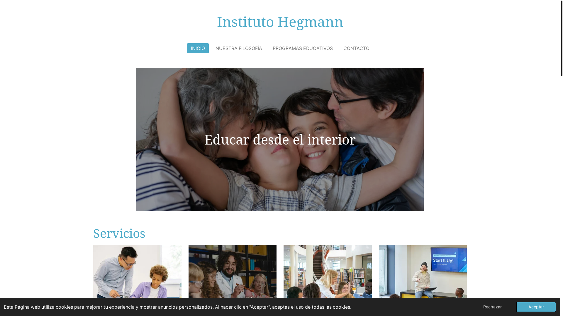 website screenshot of https://institutohegmann.org/