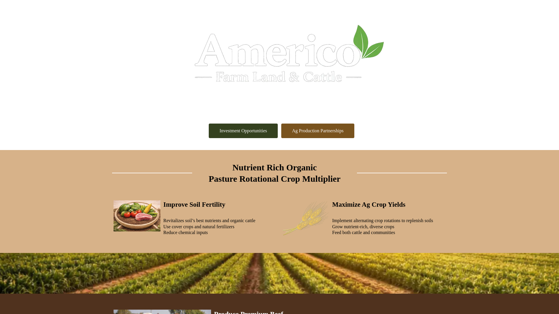website screenshot of https://americoflc.com/