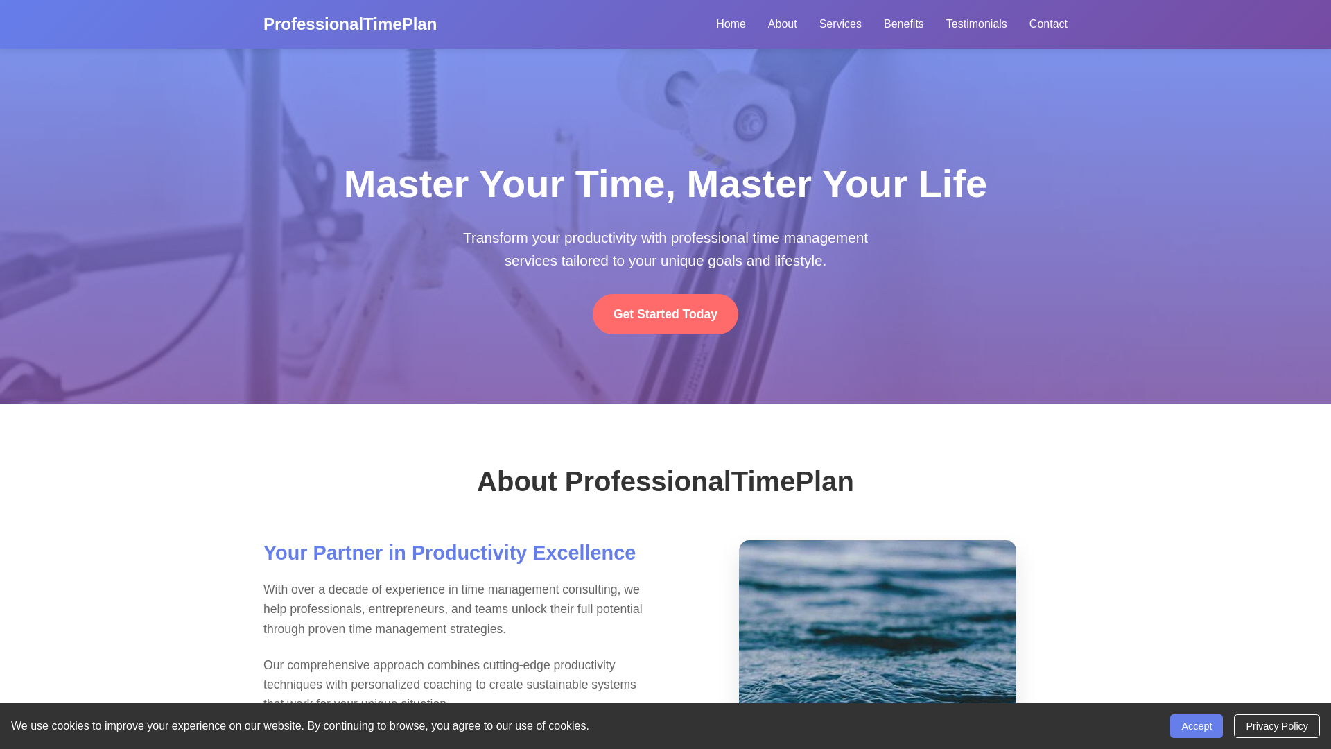 website screenshot of https://professionaltimeplan.click