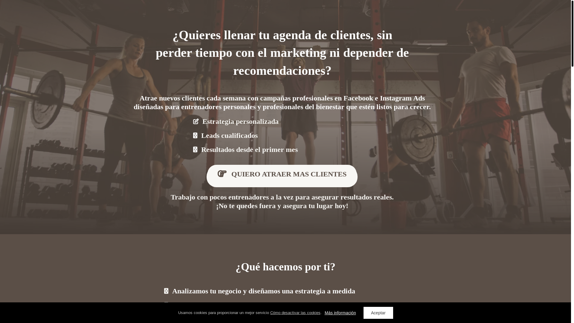 website screenshot of https://angelicaprimeads.es/
