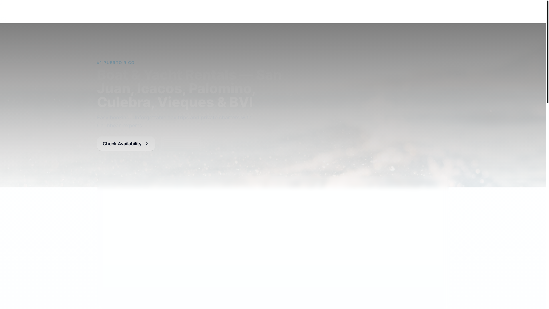 website screenshot of https://caishen-charter.pages.dev/