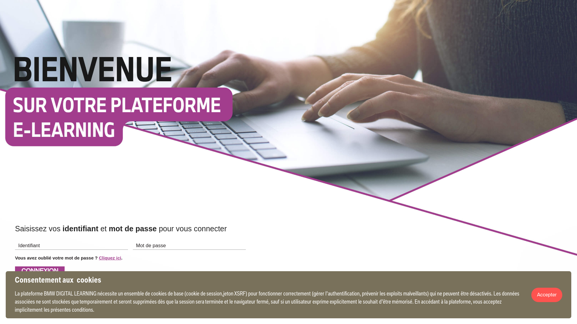 website screenshot of https://oasis-digital-learning.com/