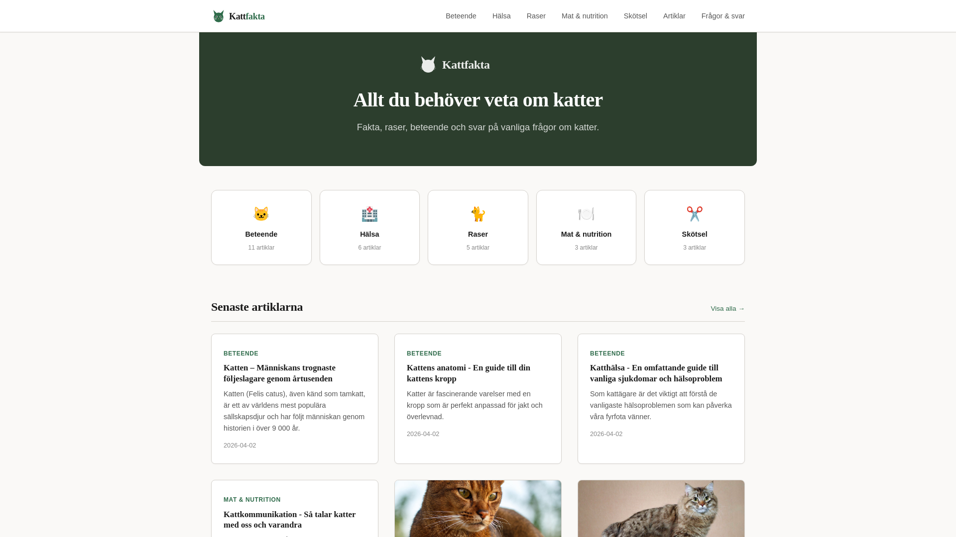 website screenshot of https://kattfakta.pages.dev/