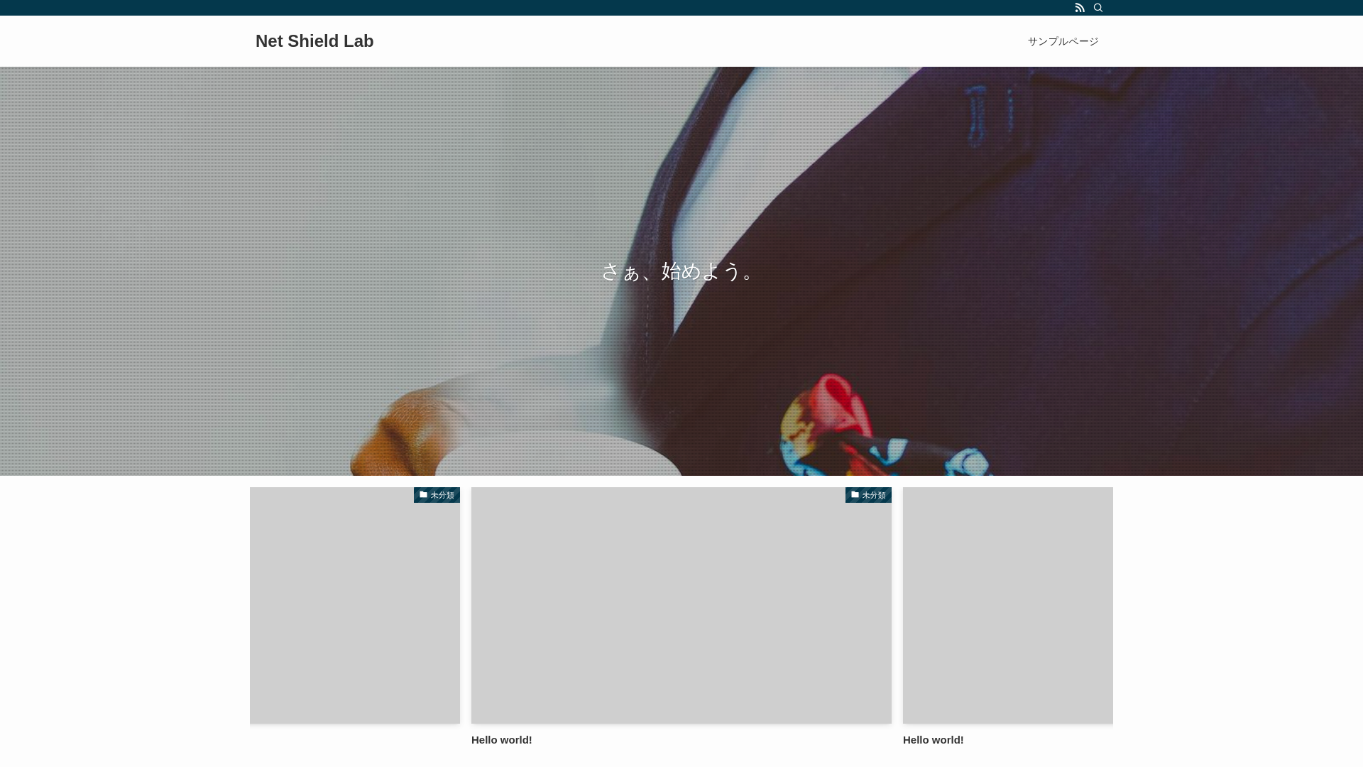 website screenshot of https://net-shield-lab.com/