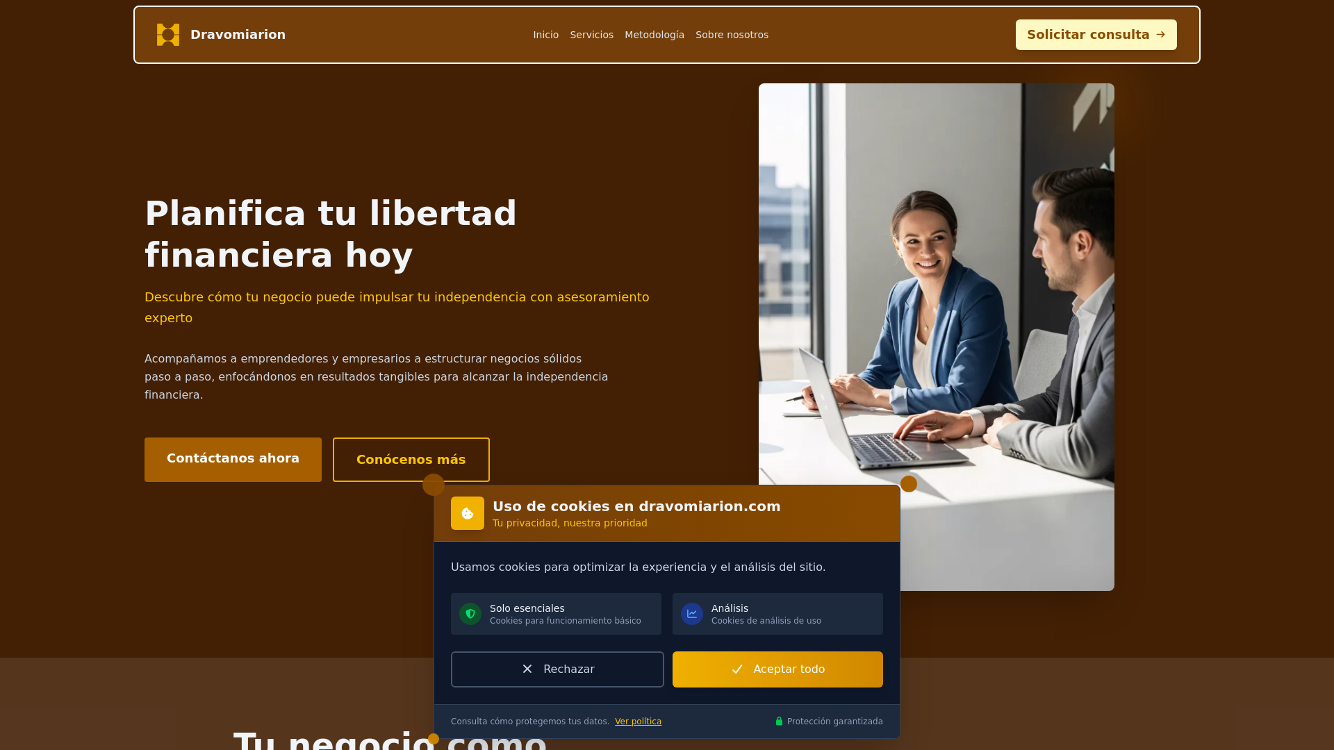 website screenshot of https://dravomiarion.com/