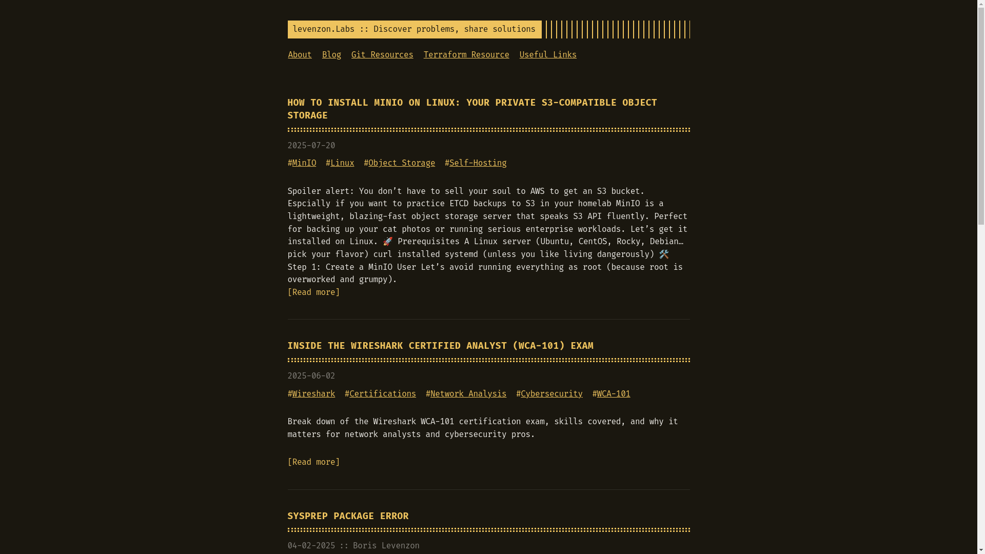 website screenshot of https://levenzonlabs-com.pages.dev/