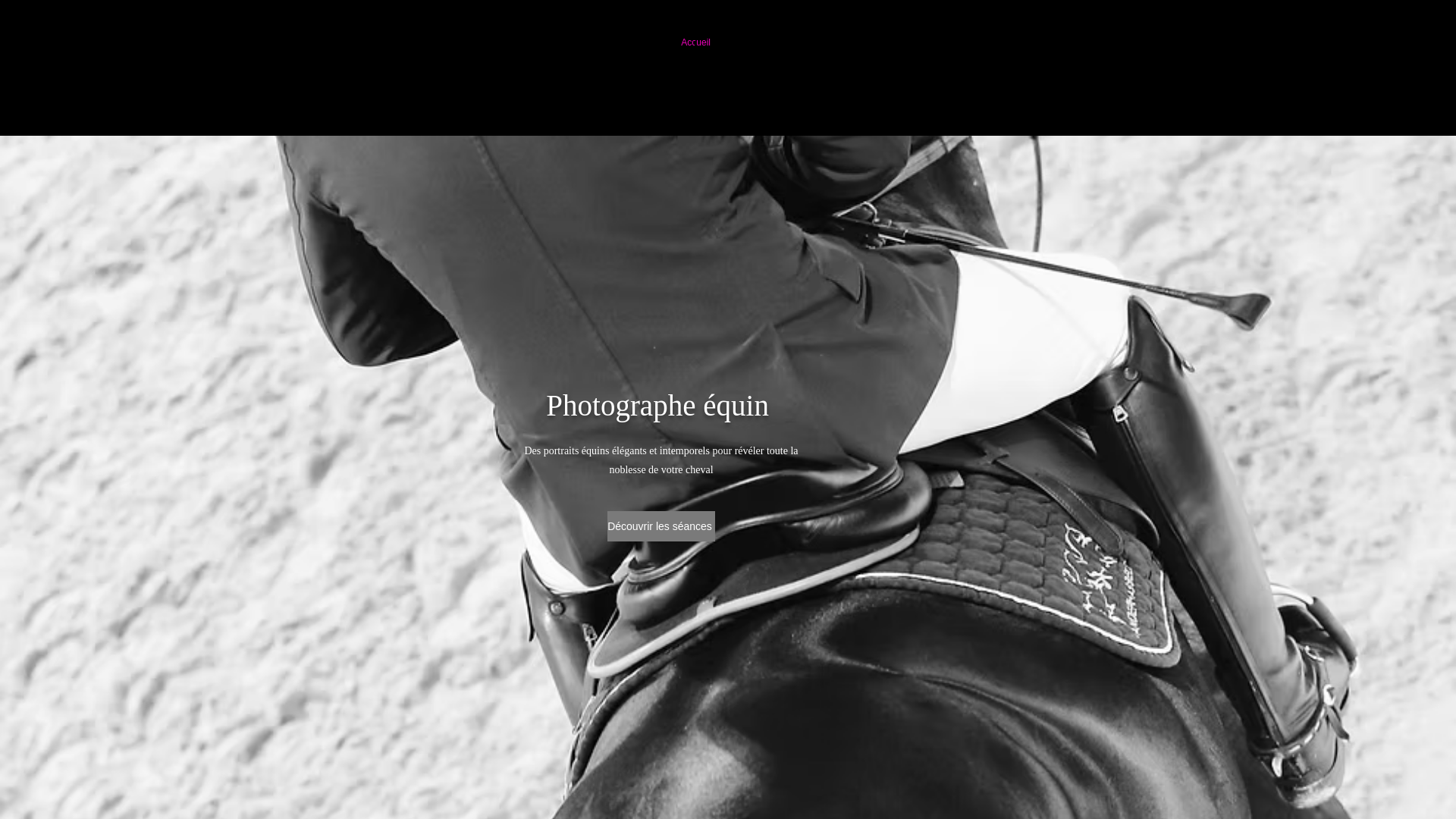 website screenshot of https://estellebeeckmansphotographie.be/