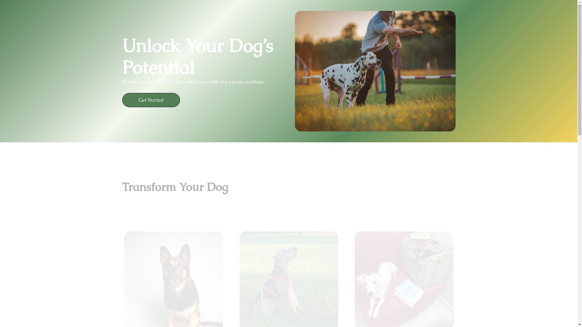website screenshot of https://calmhappydog.co.uk/