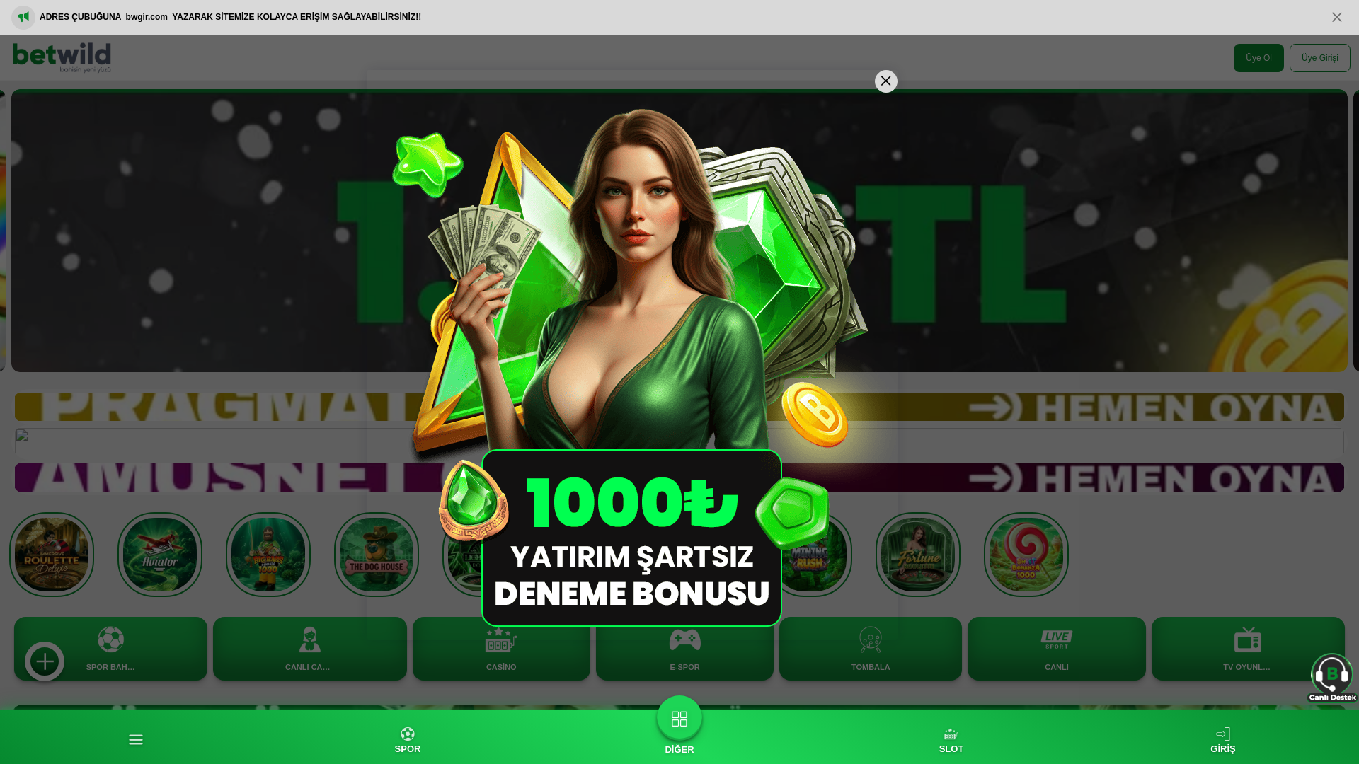 website screenshot of https://betwild555.com/tr/