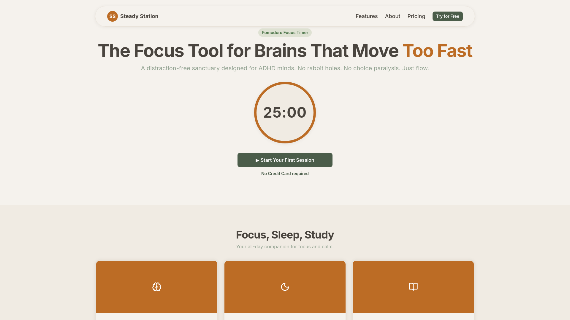 website screenshot of https://steadystation.com/